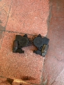 MAZDA CAM MOTORU ORİJİNAL ÇIKMA PARÇA