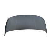 Peugeot rifter kaput 9820422880 Orjinal