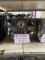 Volkswagen caddy chn 2.0 tdi hazır yapılı yarım motor