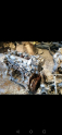 Fiat Egea 1.3 Multijet Euro 5 Çıkma Motor