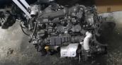 FORD COURİER 1.5 TDCİ ÇIKMA ORİJİNAL KOMPLE MOTOR