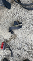 Renault scenic 2 sol arka emniyet kemeri
