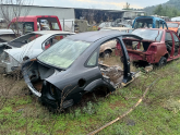 Oto Çıkma Parça / Kaporta & Karoser / Tavan Sacı / Ford / Focus / Çıkma Parça 