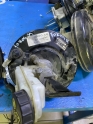FORD FOCUS 4 WESTİNGHOUSE