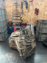 Oto Çıkma Parça / Şanzıman & Vites / Şanzıman Komple / Renault / Master / Çıkma Parça 