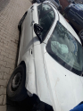 Fiat Egea sağ ön kapı