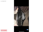 Oto Çıkma Parça / Kaporta & Karoser / Kapı / Volkswagen / Golf / Çıkma Parça 