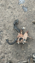 PEUGEOT 307 PEDAL TAKIMI KONUK OTO