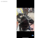 Oto Çıkma Parça / Motor / Motor Komple / Volkswagen / Transporter / Çıkma Parça 