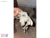 Oto Çıkma Parça / Renault / Fluence / Elektrik / Motor Beyni / Çıkma Parça 