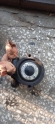 Oto Çıkma Parça / Alt Takım & Direksiyon / Direksiyon Pompası / Renault / Laguna / Çıkma Parça 