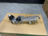 1.6 TDI Skoda Rapid EGR Valfi (2012/2015)