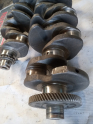 Oto Çıkma Parça / Motor / Krank / Volkswagen / Passat / Çıkma Parça 