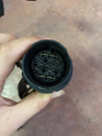Oto Çıkma Parça / Elektrik / Motor Tesisatı / Volkswagen / Polo / Çıkma Parça 