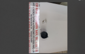 Oto Çıkma Parça / Ateşleme & Yakıt / Distribütör / Subaru / Justy / Sıfır Parça 