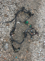 Peugeot  307. Motor tesisat 1.4 dizel