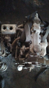 Opel Vectra A komple motor