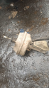 Renault 9 Renault 11 vestanoz