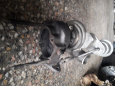 Oto Çıkma Parça / Motor / Motor Komple / Hyundai / Accent / Çıkma Parça 