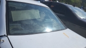OPEL VECTRA A BAGAJ CAM.OTO ERKAN ÜNYE