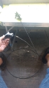 Fiat Siena Palio bagajaçma teli