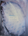 BALANS MİLİ KAYIŞI H100