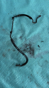 2004 clio symbol yağ borusu