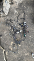 MERCEDES W206 254 MOTOR TESİSATI OTO FEDAİ