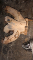 Opel kadett 1.6 karbüratörlü egzoz manifoldu