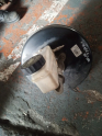 FLUENCE 110LUK WESTİNGHOUSE  SÖKME ORJİNAL SAVAS OTO