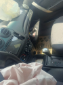 Oto Çıkma Parça / Kaporta & Karoser / Kapı / Chevrolet / Aveo / Çıkma Parça 