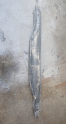 POLO HATCHBACK ARKA TAMPON DEMİRİ 1999-2001 MODEL