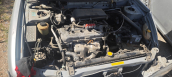Primera motor