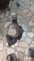 Orjinal Çıkma Opel Corsa B F13 Şanzıman