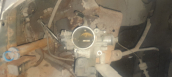Kia shuhuma gaz kelebeği
