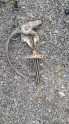 Mazda 323 sağ ön kapı cam kirikosu