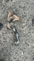 HYUNDAİ ACCENT BLUE PEDAL KONUK OTO