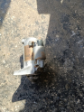 Oto Çıkma Parça / Elektrik / Marş Motoru / Toyota / Corolla / Çıkma Parça 