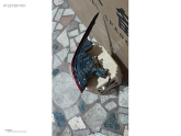 Oto Çıkma Parça / Elektrik / Stop / Chery / Omoda 5 / Çıkma Parça 