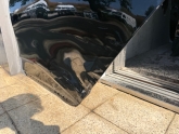 Oto Çıkma Parça / Kaporta & Karoser / Kapı / Renault / Clio / Çıkma Parça 