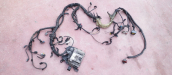 Peugeot Citroën 206 1.4 HDi Motor Beyni  Tesisat  DV4
