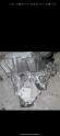 Oto Çıkma Parça / Şanzıman & Vites / Şanzıman Komple / Renault / Clio / Çıkma Parça 