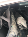Oto Çıkma Parça / Kaporta & Karoser / Tavan Sacı / Toyota / Auris / Çıkma Parça 