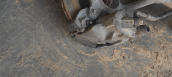 Oto Çıkma Parça / Alt Takım & Direksiyon / Taşıyıcı / Ford / Taunus / Çıkma Parça 
