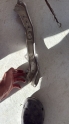 Toyota corolla sol üst radyatör bağlantı ayağı 20-24 5321402180