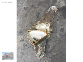 MERCEDES W124-W201 M102 MOTOR KULAKLARI KUSURSZ -1022234104-4204