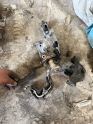 Honda civic 1.5 Fc 182hp