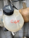 CİTROEN C4X YEDEK SU DEPOSU