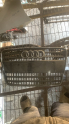 2007-2009 Audi Q7 Modeli İçin Çıkma Ön Panjur