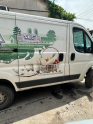 Fiat ducato sağ sürgülü kapı dolu